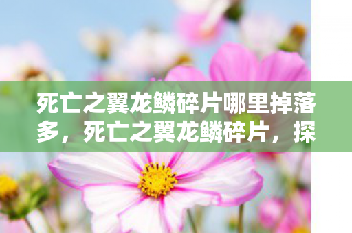 死亡之翼龙鳞碎片哪里掉落多，死亡之翼龙鳞碎片，探寻神秘传说中的珍贵遗物