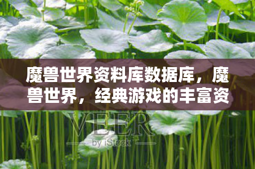 魔兽世界资料库数据库，魔兽世界，经典游戏的丰富资料探索