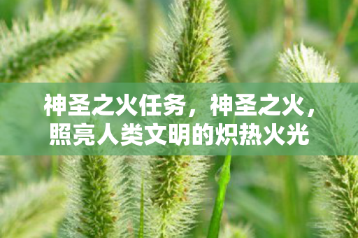 神圣之火任务，神圣之火，照亮人类文明的炽热火光