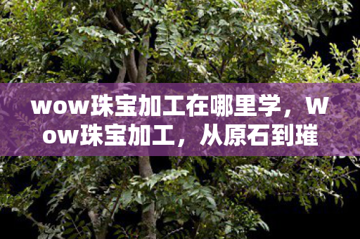 wow珠宝加工在哪里学，Wow珠宝加工，从原石到璀璨饰品的奇妙旅程