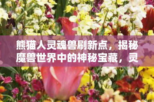 熊猫人灵魂兽刷新点，揭秘魔兽世界中的神秘宝藏，灵魂兽刷新点全攻略