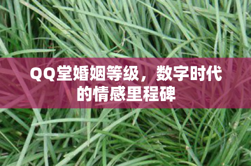 QQ堂婚姻等级，数字时代的情感里程碑
