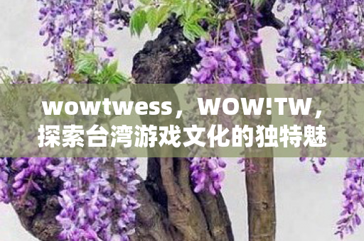 wowtwess，WOW!TW，探索台湾游戏文化的独特魅力