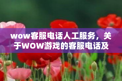 wow客服电话人工服务，关于WOW游戏的客服电话及常见问题解答