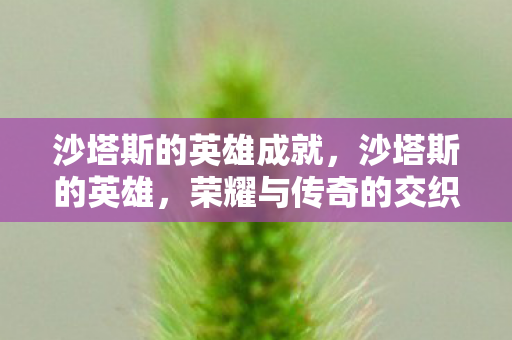沙塔斯的英雄成就，沙塔斯的英雄，荣耀与传奇的交织