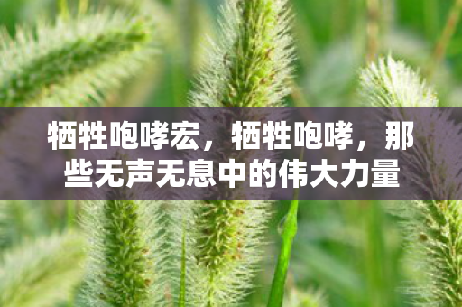 牺牲咆哮宏，牺牲咆哮，那些无声无息中的伟大力量