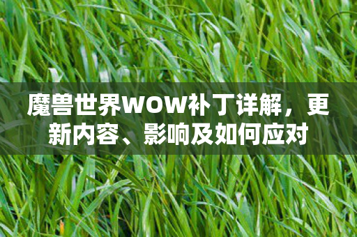 魔兽世界WOW补丁详解，更新内容、影响及如何应对