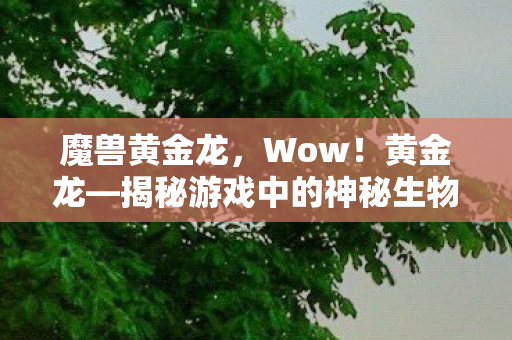 魔兽黄金龙，Wow！黄金龙—揭秘游戏中的神秘生物