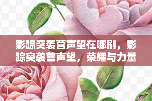 影踪突袭营声望在哪刷，影踪突袭营声望，荣耀与力量的象征