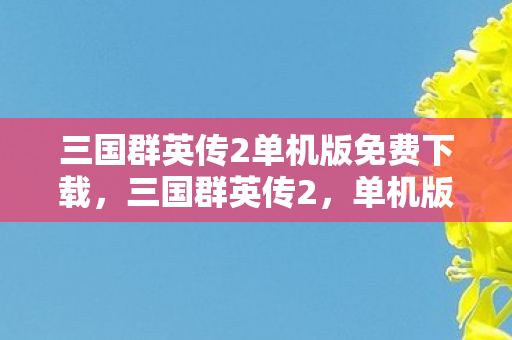 三国群英传2单机版免费下载，三国群英传2，单机版游戏深度解析