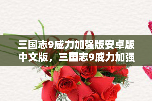 三国志9威力加强版安卓版中文版，三国志9威力加强版下载攻略及游戏特色解析