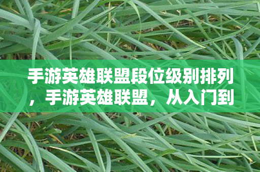 手游英雄联盟段位级别排列，手游英雄联盟，从入门到精通的全方位指南