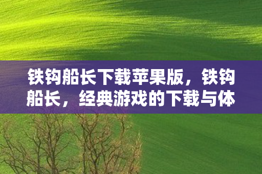 铁钩船长下载苹果版，铁钩船长，经典游戏的下载与体验