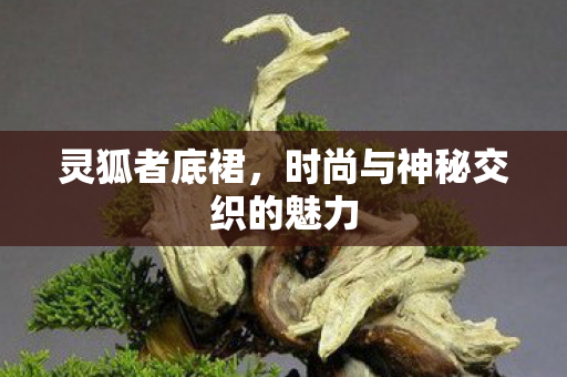 灵狐者底裙，时尚与神秘交织的魅力