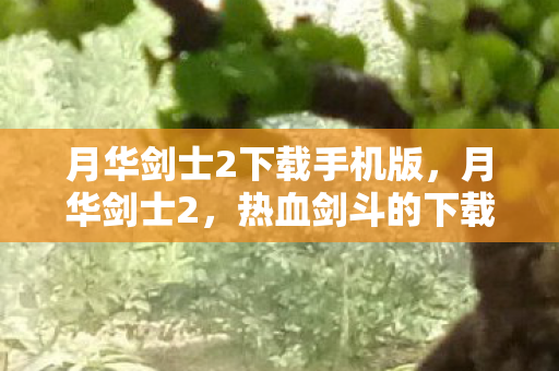 月华剑士2下载手机版，月华剑士2，热血剑斗的下载之旅