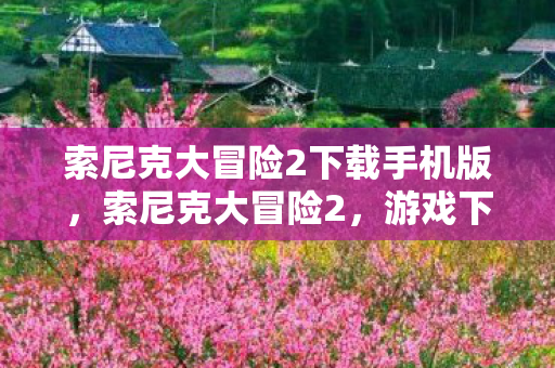 索尼克大冒险2下载手机版，索尼克大冒险2，游戏下载及体验详解