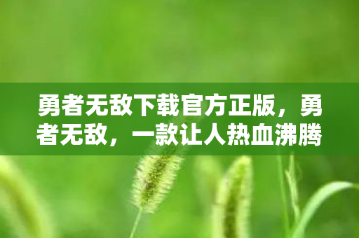 勇者无敌下载官方正版，勇者无敌，一款让人热血沸腾的游戏下载体验