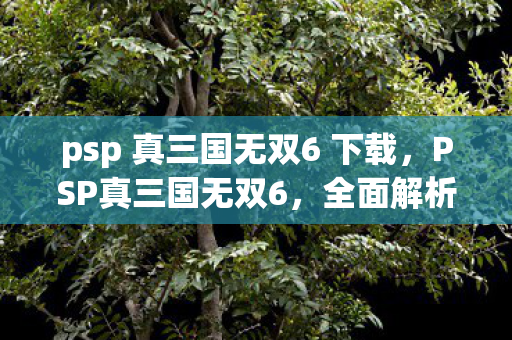 psp 真三国无双6 下载，PSP真三国无双6，全面解析与下载指南