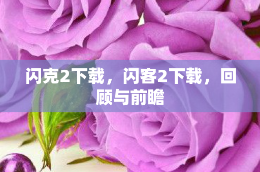 闪克2下载，闪客2下载，回顾与前瞻