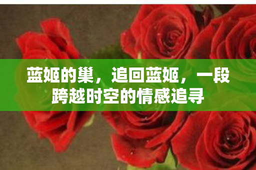 蓝姬的巢，追回蓝姬，一段跨越时空的情感追寻