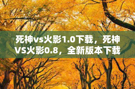 死神vs火影1.0下载，死神VS火影0.8，全新版本下载体验