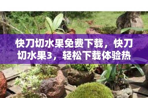 快刀切水果免费下载，快刀切水果3，轻松下载体验热带水果盛宴！