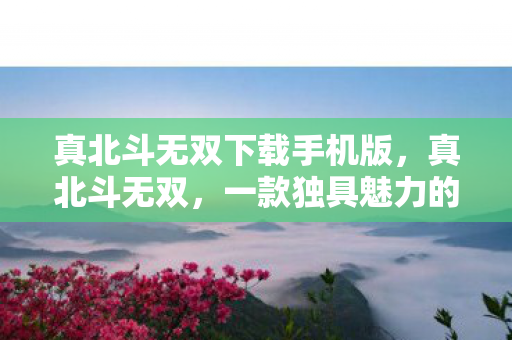 真北斗无双下载手机版，真北斗无双，一款独具魅力的动作游戏下载体验