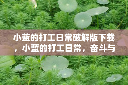 小蓝的打工日常破解版下载，小蓝的打工日常，奋斗与成长的真实写照