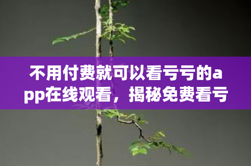 不用付费就可以看亏亏的app在线观看，揭秘免费看亏亏APP背后的真相，你真的了解吗？