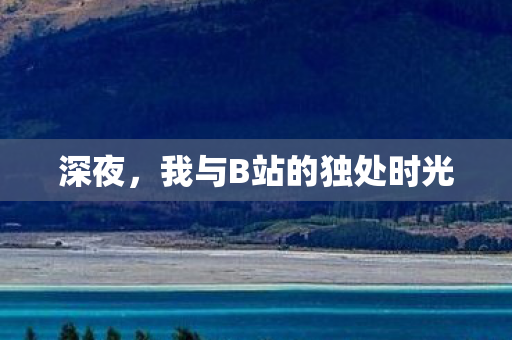 深夜，我与B站的独处时光