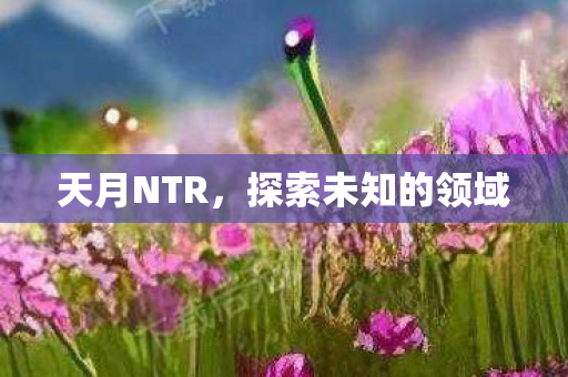 天月NTR，探索未知的领域