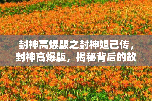 封神高爆版之封神妲己传，封神高爆版，揭秘背后的故事与独特魅力