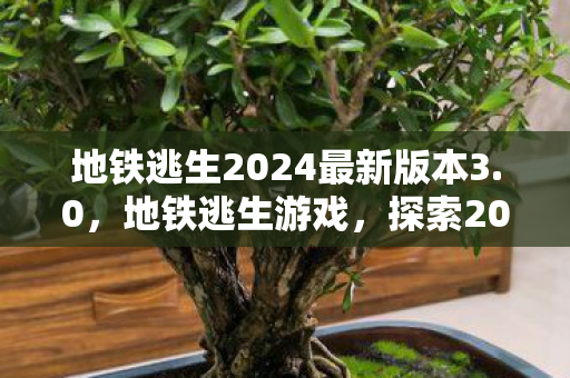 地铁逃生2024最新版本3.0，地铁逃生游戏，探索2024年最新版本3.1的独特魅力