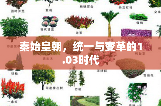 秦始皇朝，统一与变革的1.03时代