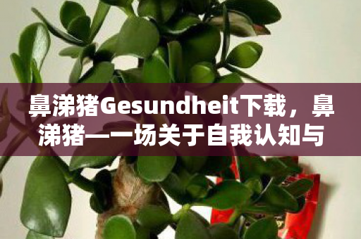 鼻涕猪Gesundheit下载，鼻涕猪—一场关于自我认知与成长的奇妙旅程