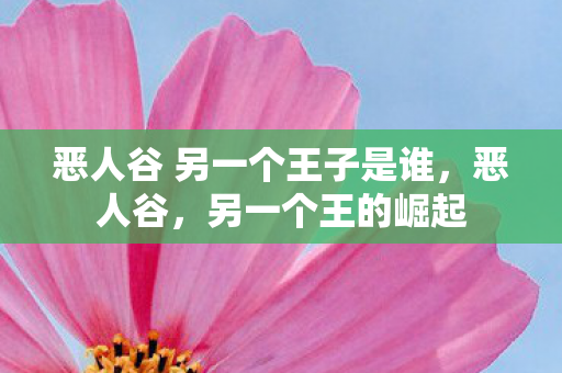 恶人谷 另一个王子是谁，恶人谷，另一个王的崛起