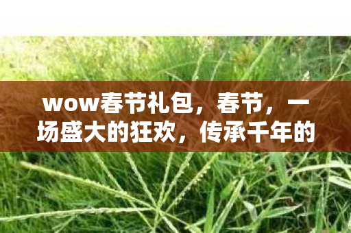wow春节礼包，春节，一场盛大的狂欢，传承千年的文化盛宴
