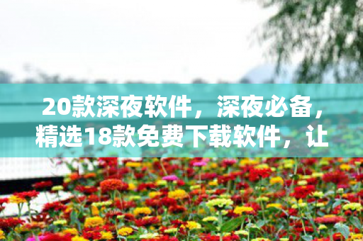 20款深夜软件，深夜必备，精选18款免费下载软件，让你畅享无忧