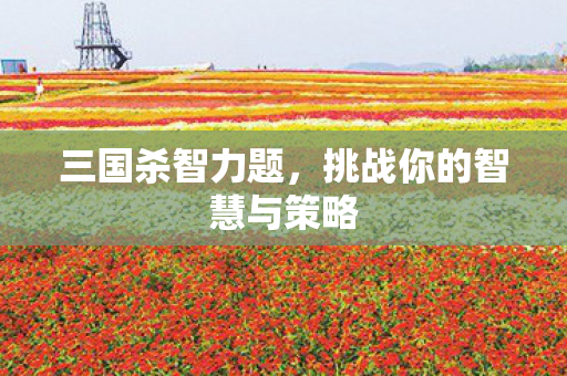 三国杀智力题，挑战你的智慧与策略