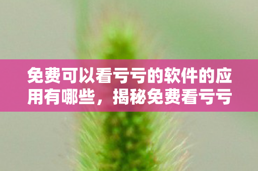 免费可以看亏亏的软件的应用有哪些，揭秘免费看亏亏软件应用背后的真相