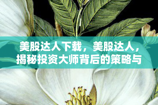 美股达人下载，美股达人，揭秘投资大师背后的策略与智慧