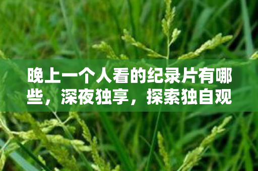 晚上一个人看的纪录片有哪些，深夜独享，探索独自观影的APP世界