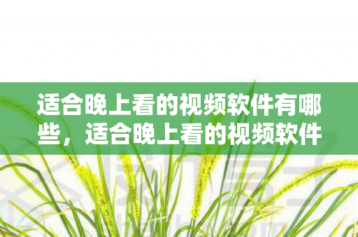适合晚上看的视频软件有哪些，适合晚上看的视频软件推荐