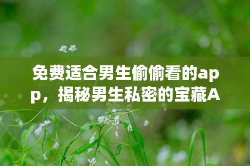 免费适合男生偷偷看的app，揭秘男生私密的宝藏APP，那些值得一试的APP推荐