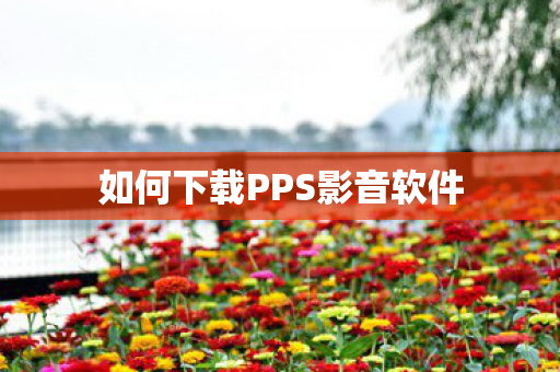 如何下载PPS影音软件