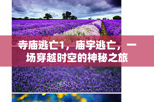 寺庙逃亡1，庙宇逃亡，一场穿越时空的神秘之旅