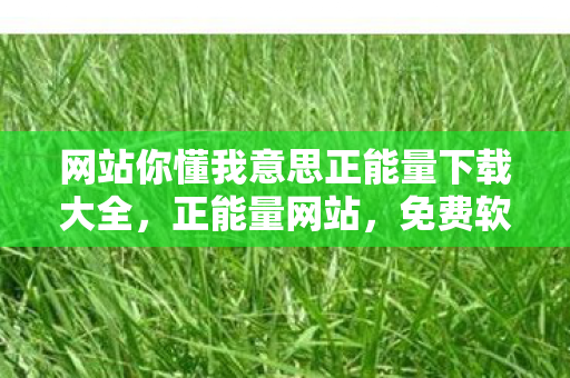 网站你懂我意思正能量下载大全，正能量网站，免费软件下载，激发你的无限潜能