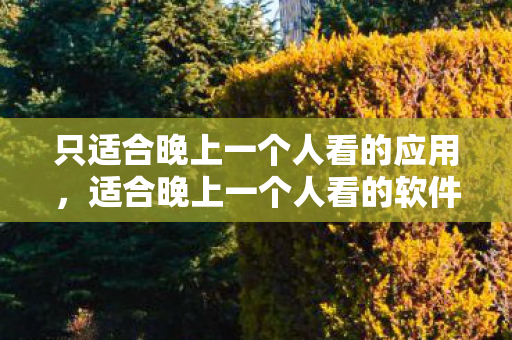 只适合晚上一个人看的应用，适合晚上一个人看的软件推荐