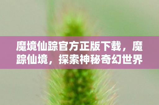 魔境仙踪官方正版下载，魔踪仙境，探索神秘奇幻世界的旅程
