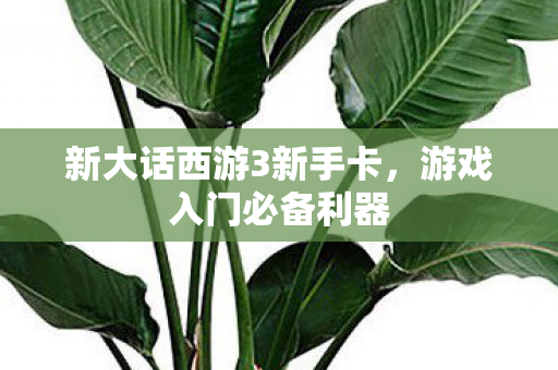 新大话西游3新手卡，游戏入门必备利器